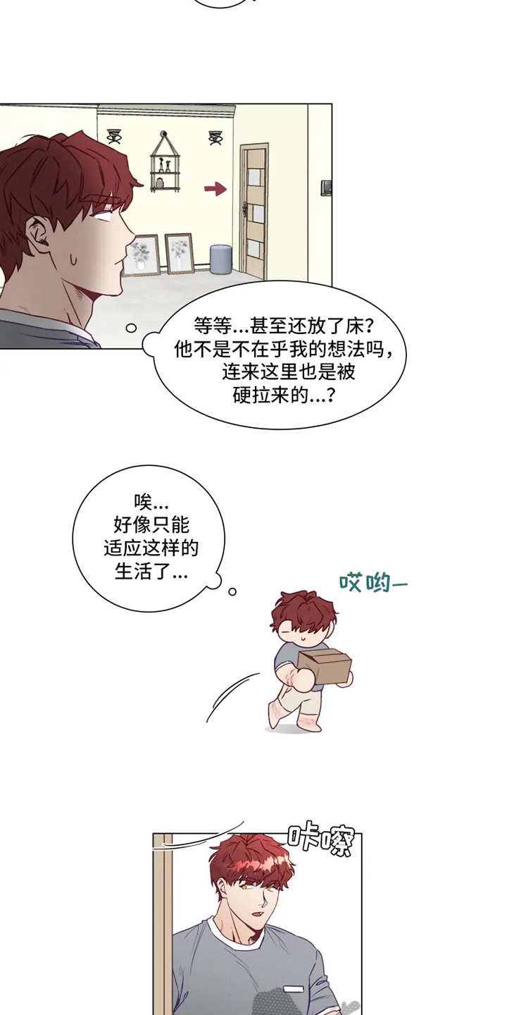 第4话：第4章：厨艺预览分镜