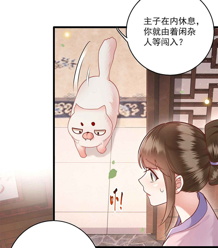 第13话：第13章：把狗牵到主人面前打预览分镜