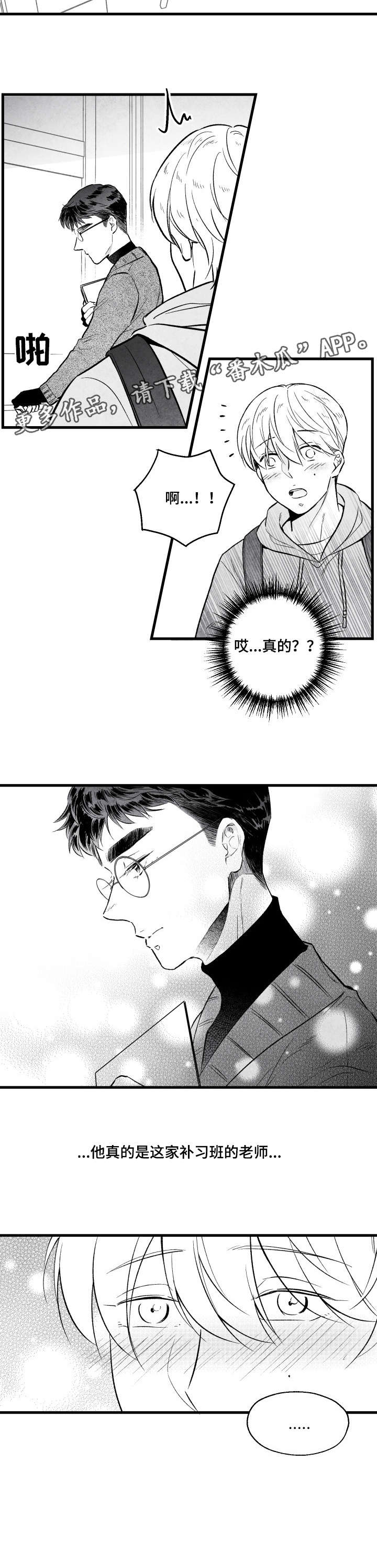 第11话：第11章：怪怪的预览分镜