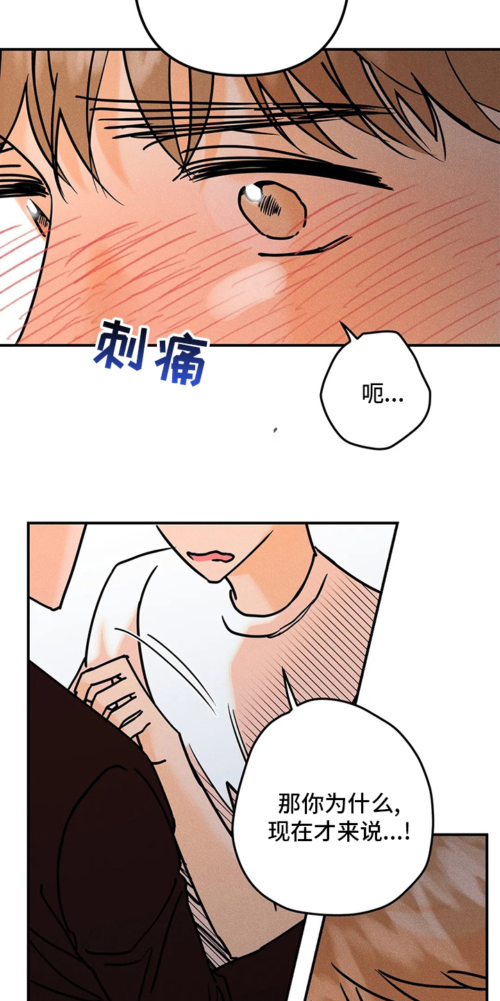 【完结】初恋