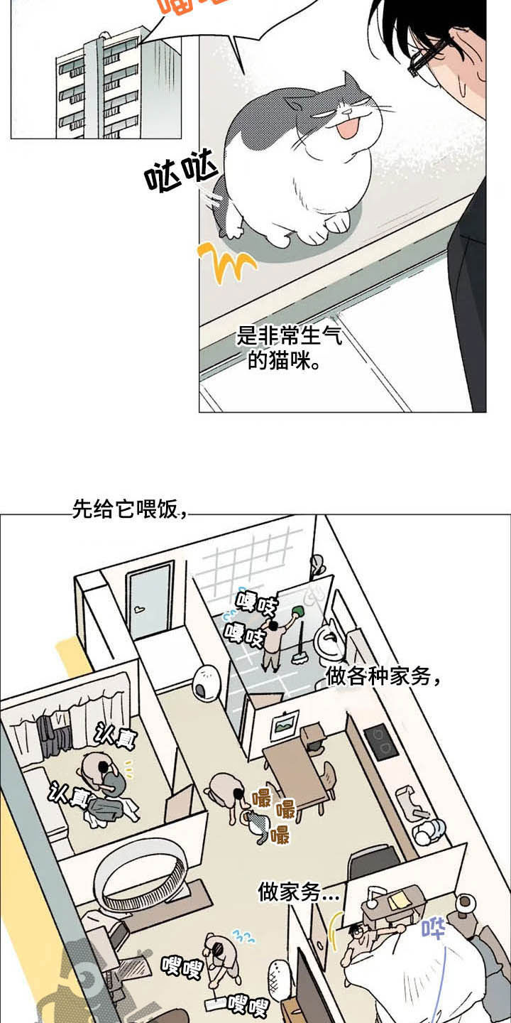 第11话：第11章：后山预览分镜