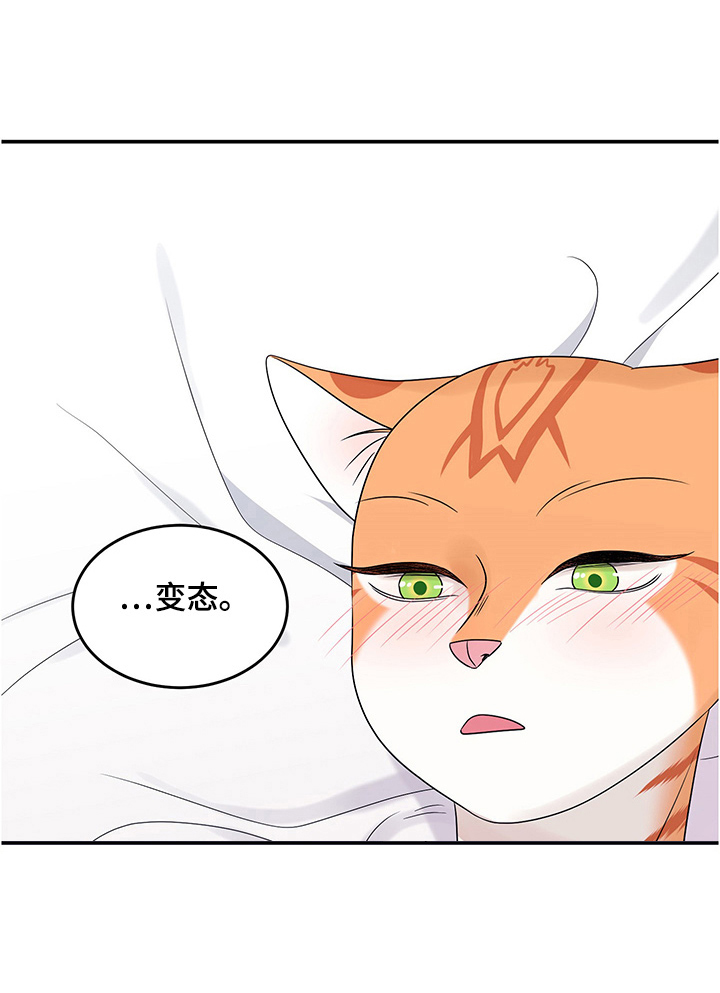 第12话：第12章：义务预览分镜
