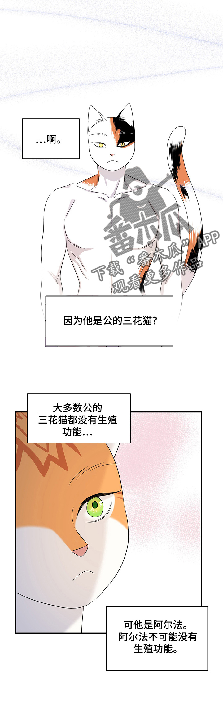 第13话：第13章：烧焦预览分镜