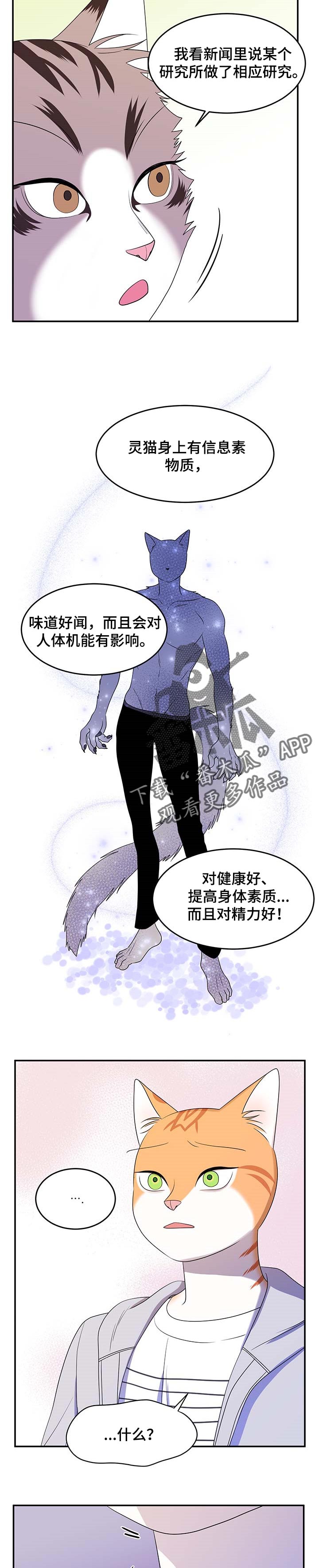 第18话：第18章：信息素预览分镜