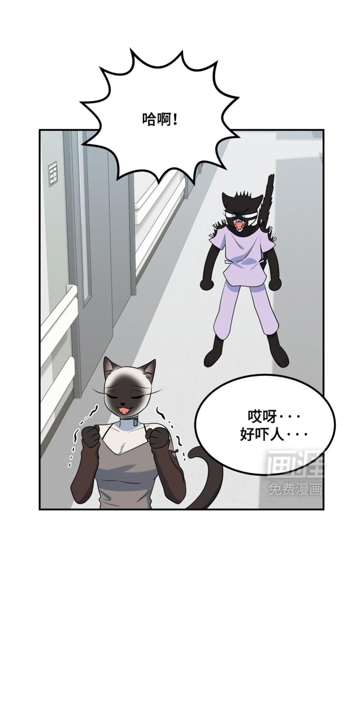 第147章:【第三季】候补队