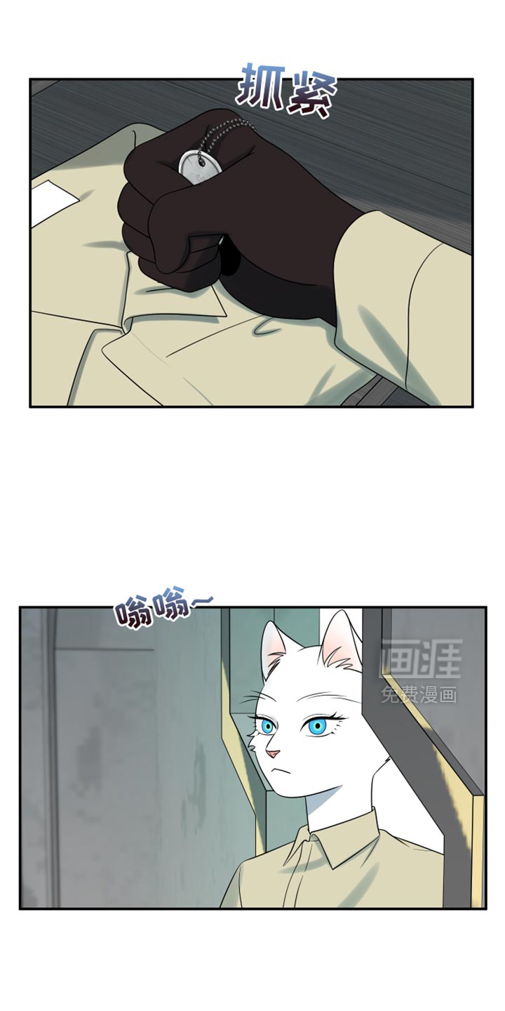 第148章:【第三季】我想知道