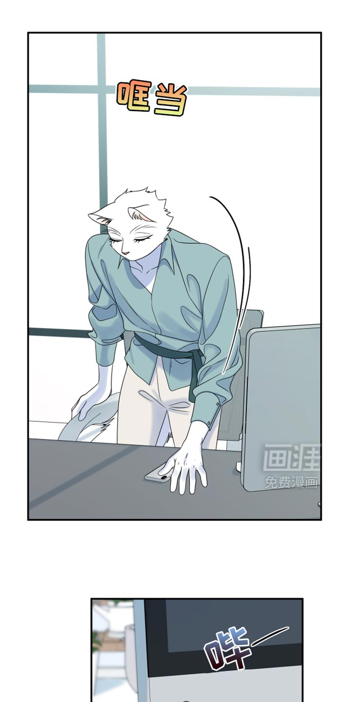 第159章:【第三季】宝贵的猫