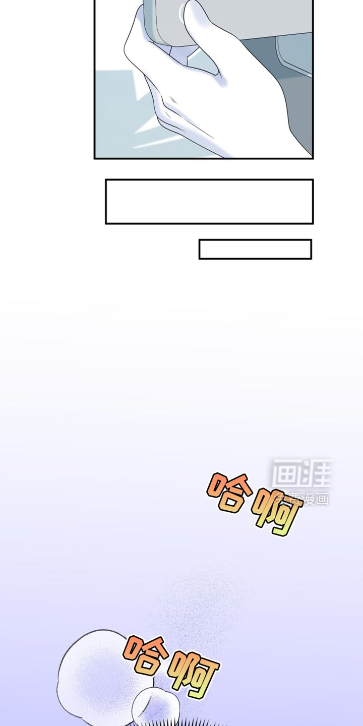 第159章:【第三季】宝贵的猫