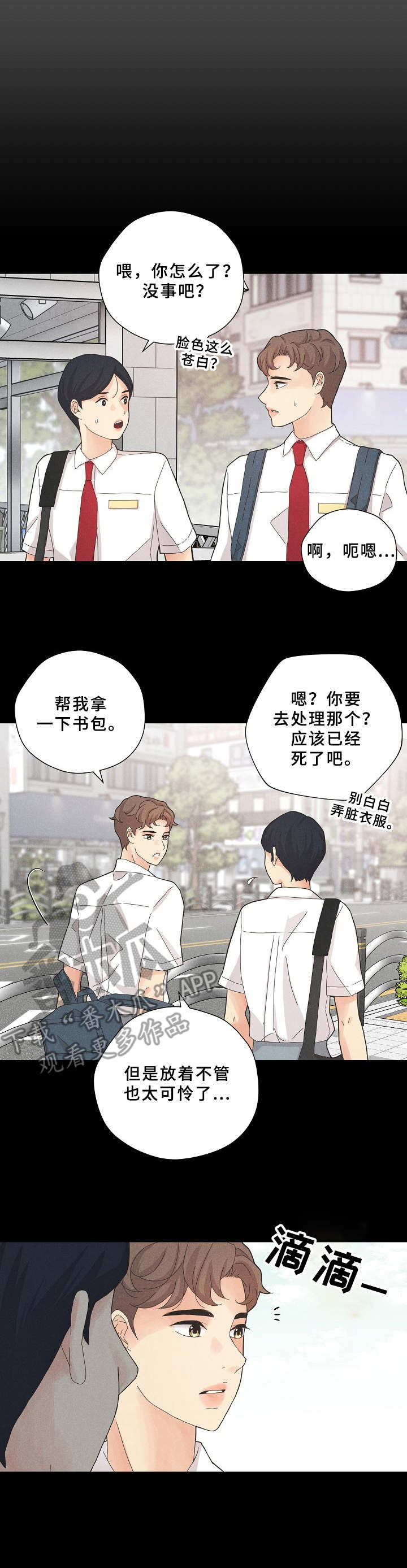 第6话：第6章：让人好奇预览分镜