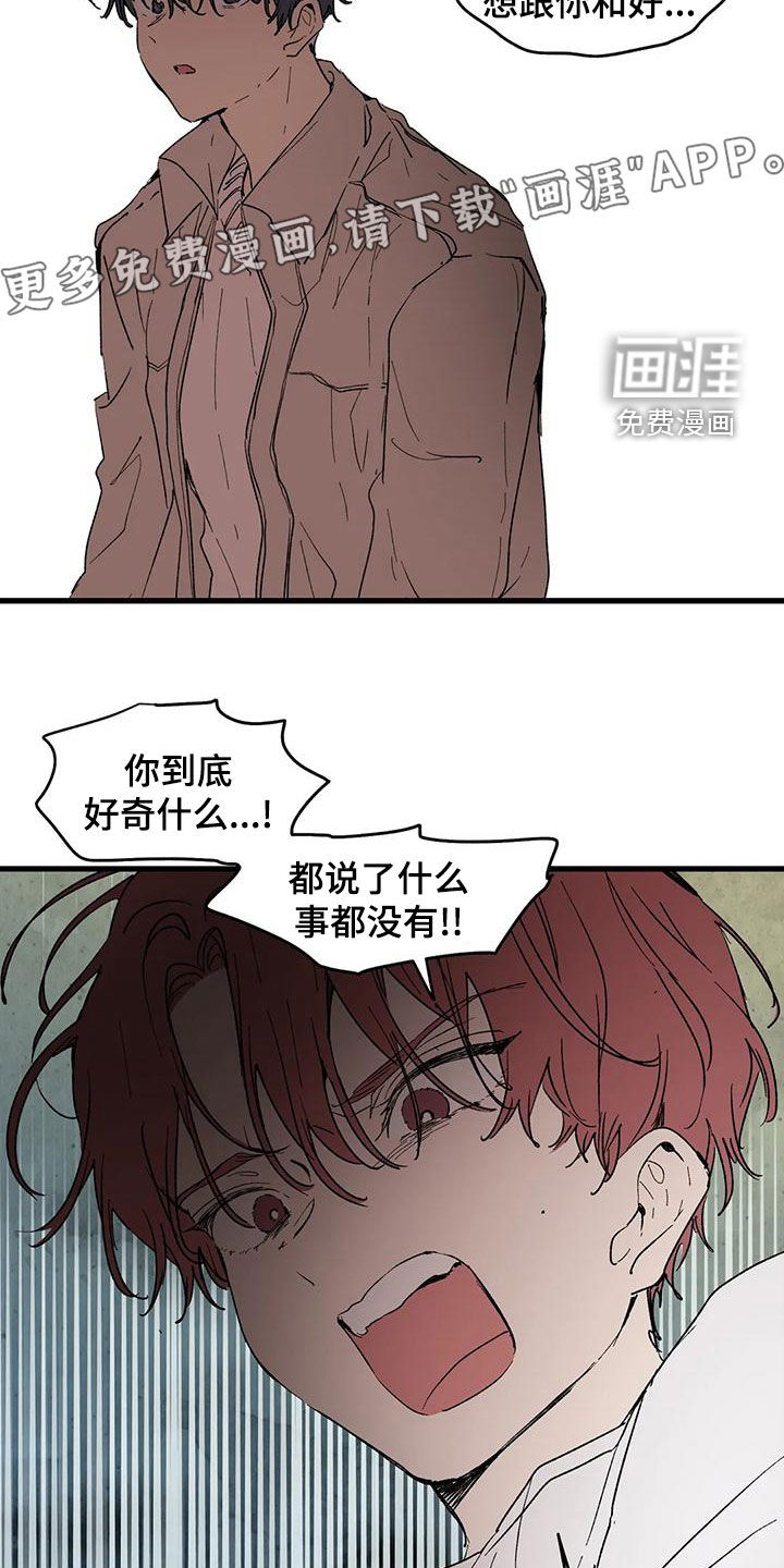 卷钱跑了