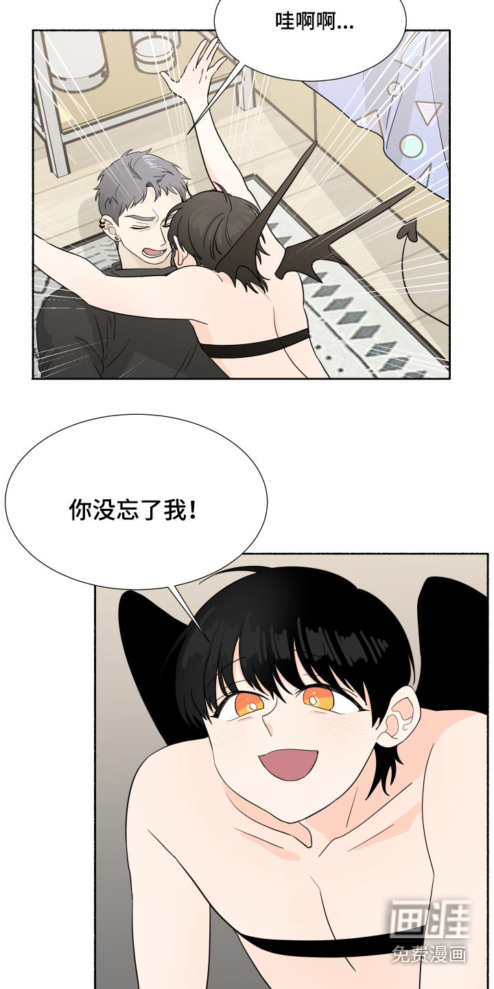 最好的安排【完结】