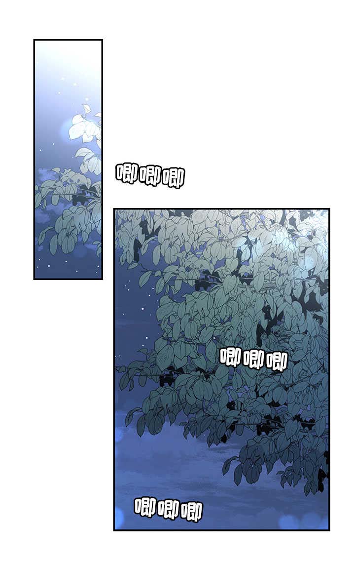 第16话：第16章：塔利亚之夜预览分镜