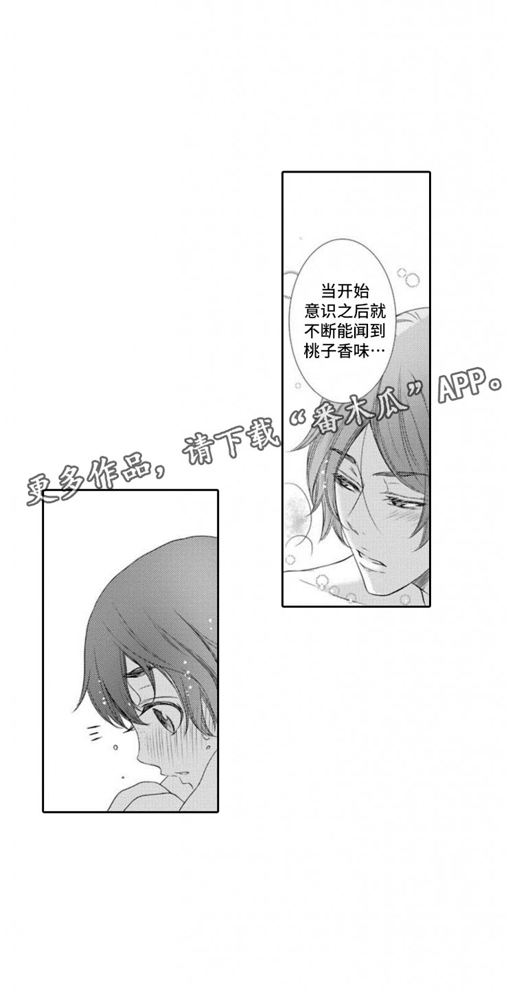 第15话：第15章：明悟预览分镜