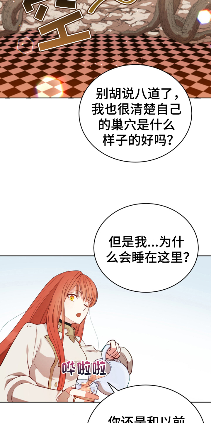 第15话：第15章：朋友预览分镜