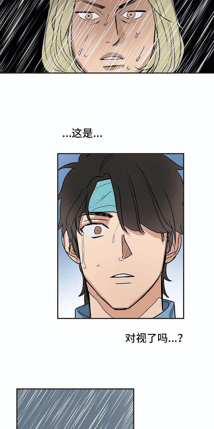 第17话：第17章：又回来了预览分镜