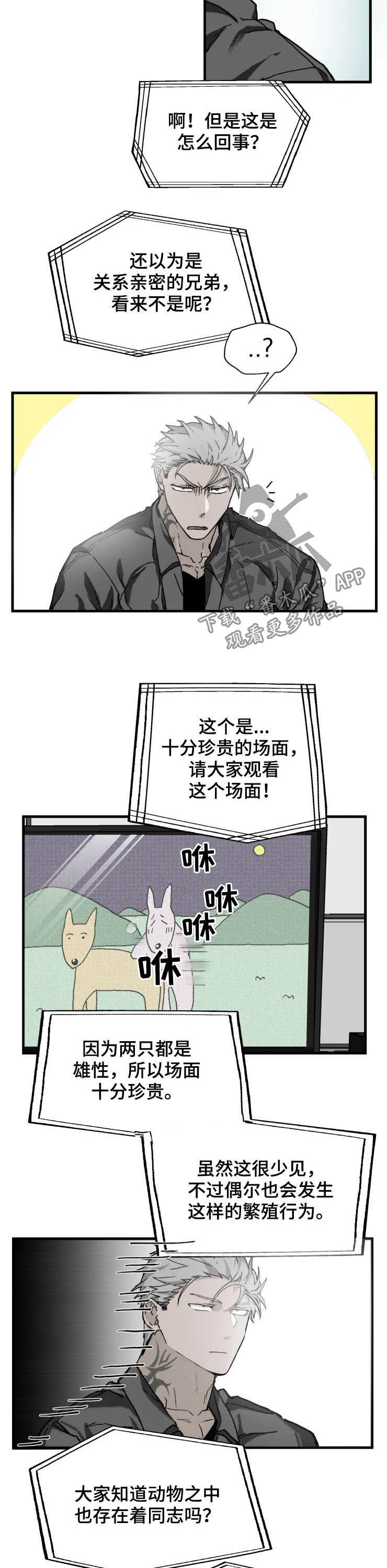 第14话：第14章：厌烦预览分镜