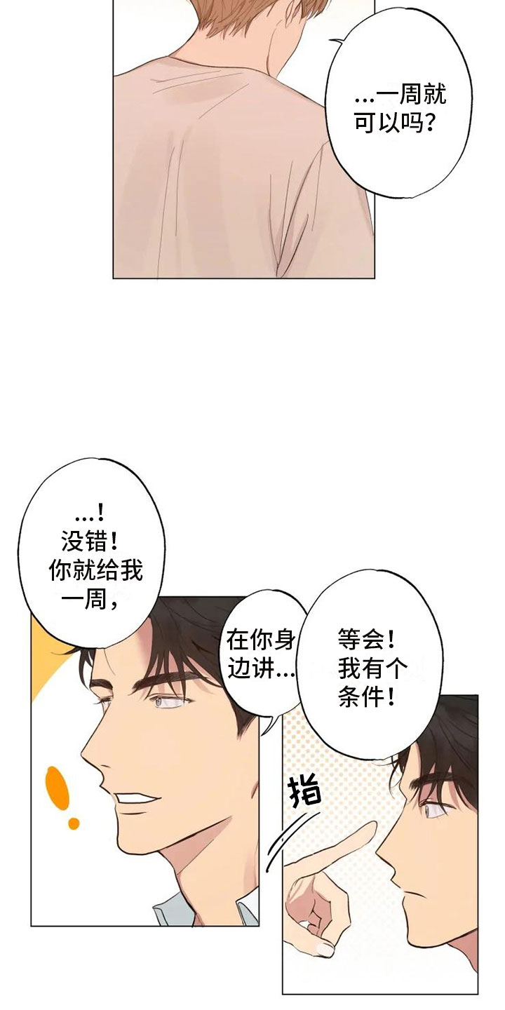 第3话：第3章：同住一周预览分镜