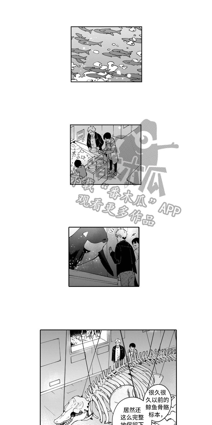 第7话：第7章：开心预览分镜