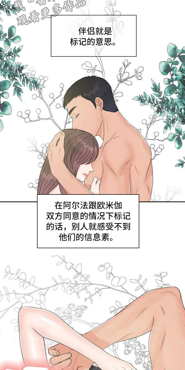 第6话：第6章：偏见预览分镜