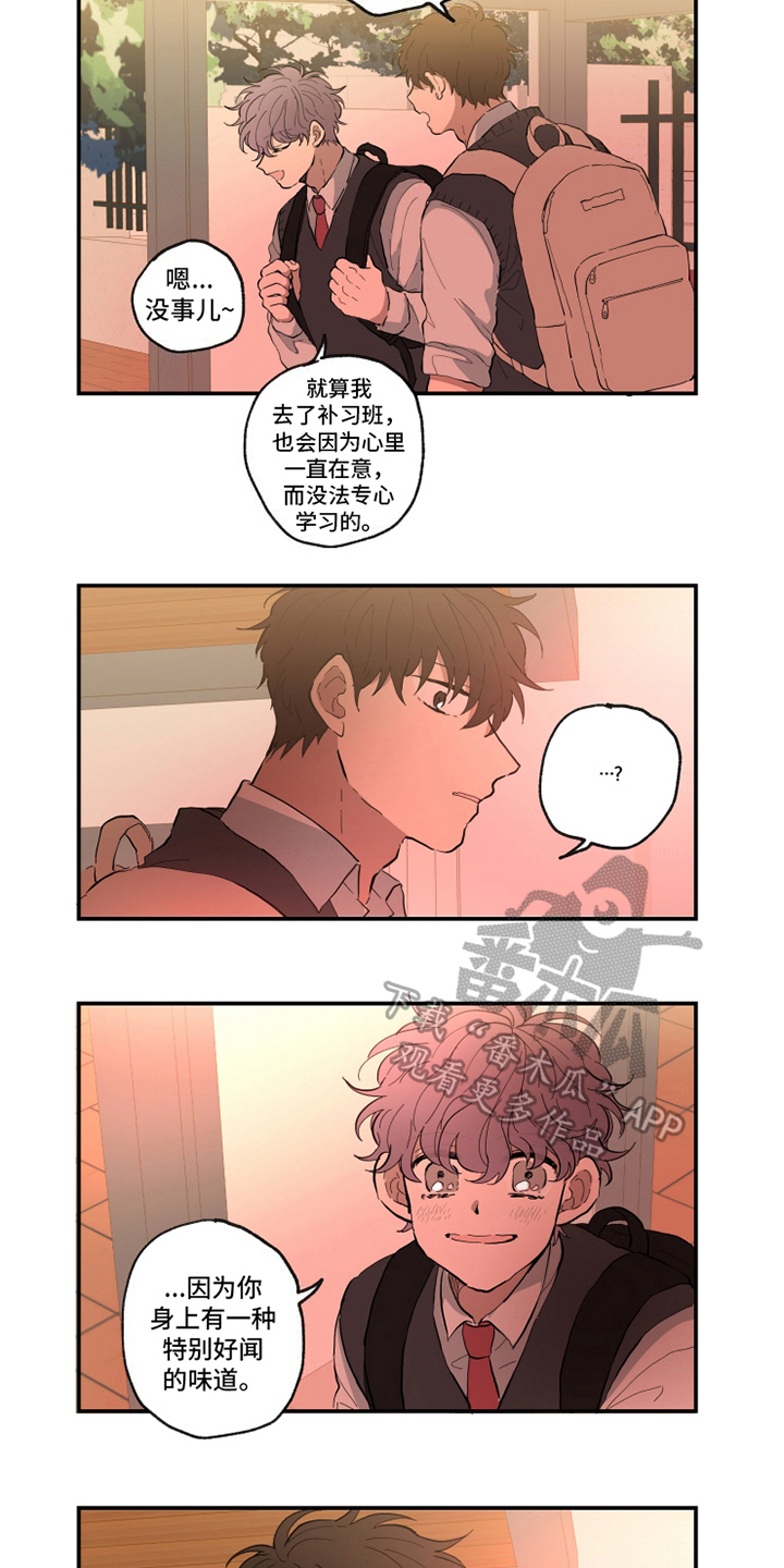 第14话：第14章：味道预览分镜