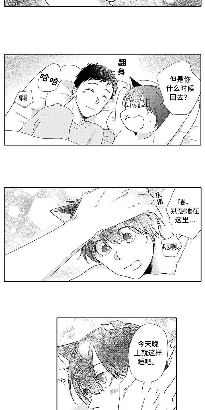 第9话：第9章：安心预览分镜