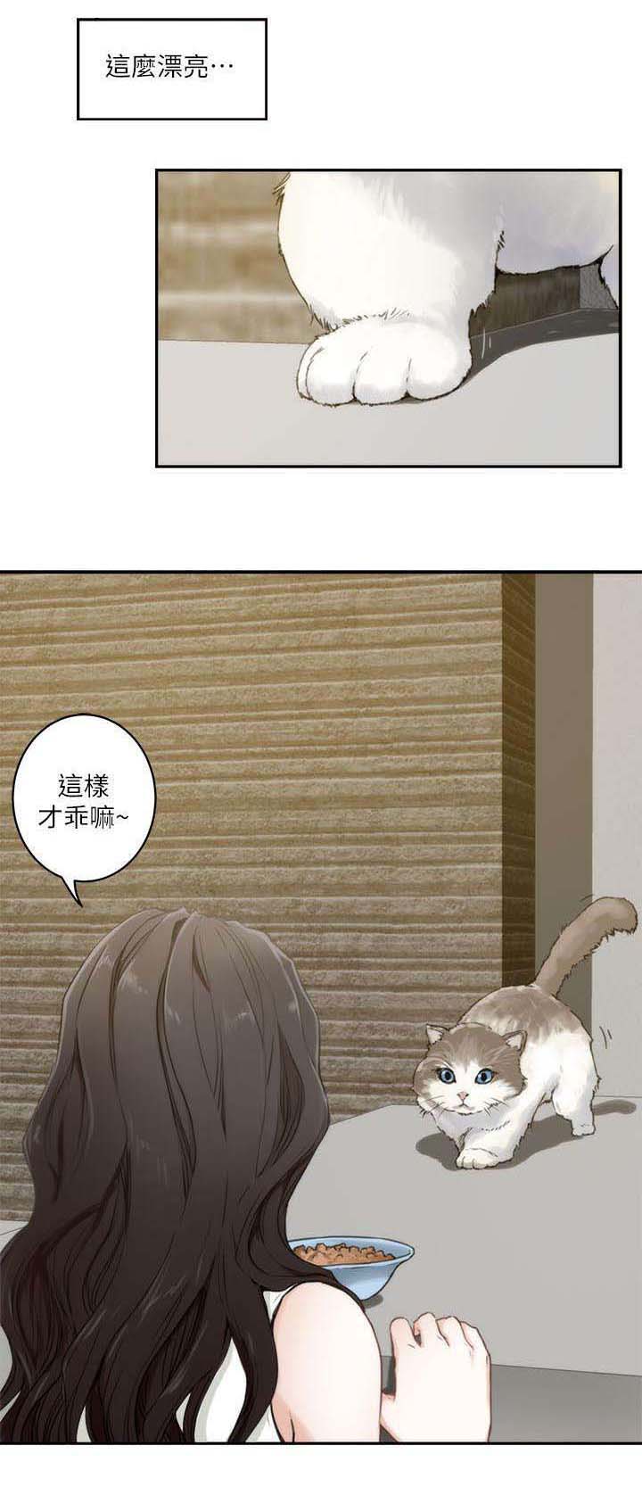 第3话：第3章：陈小桃预览分镜