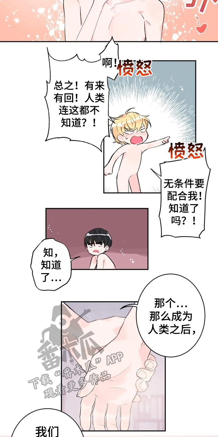 第8话：第8章：惊讶预览分镜