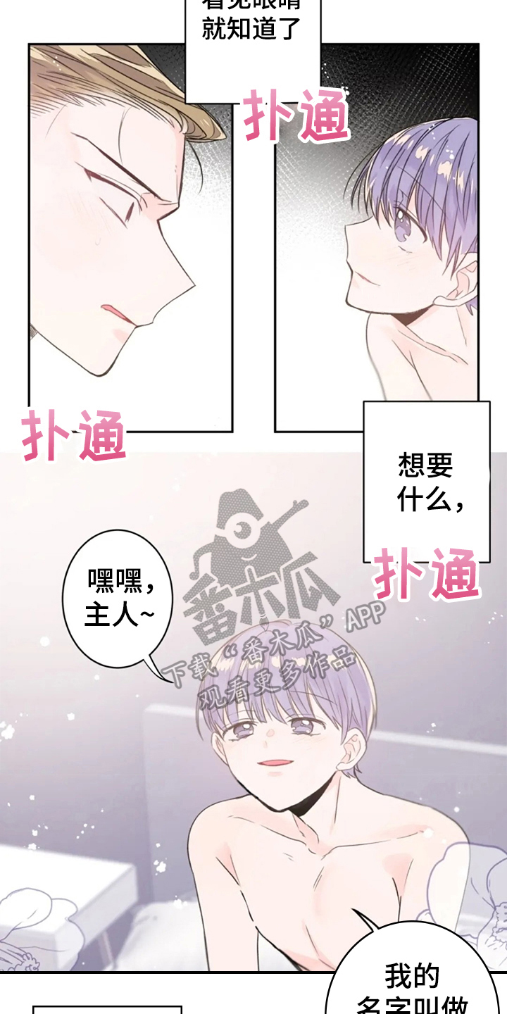 第14话：第14章：寻找预览分镜