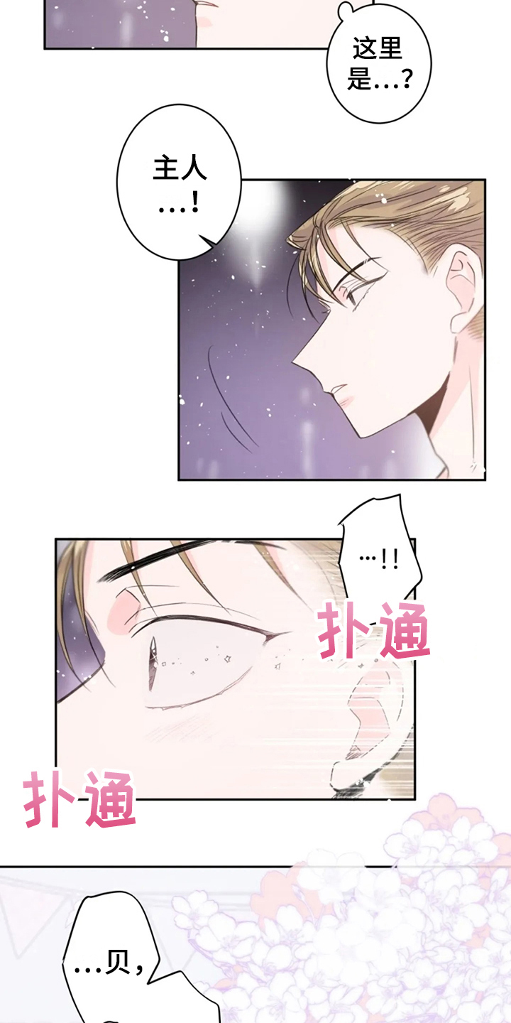 第15话：第15章：感官共享预览分镜
