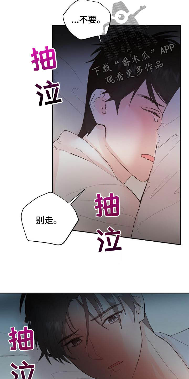 第15话：第15章：回不去了预览分镜