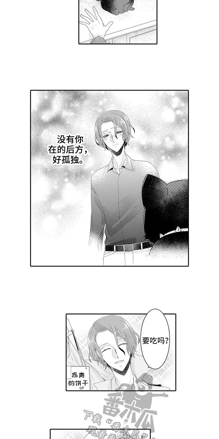 第9话：第9章：释然预览分镜
