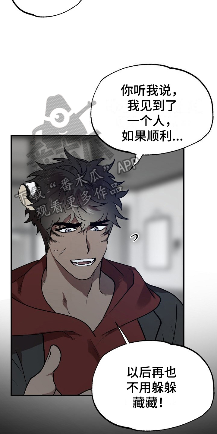第17话：第17章：看走眼预览分镜