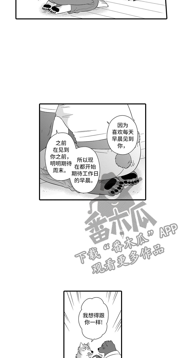 第17话：第17章：可爱预览分镜