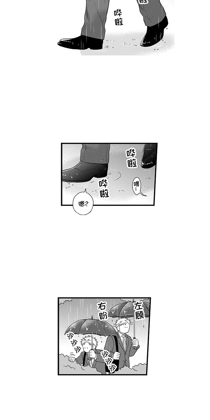 猫咪