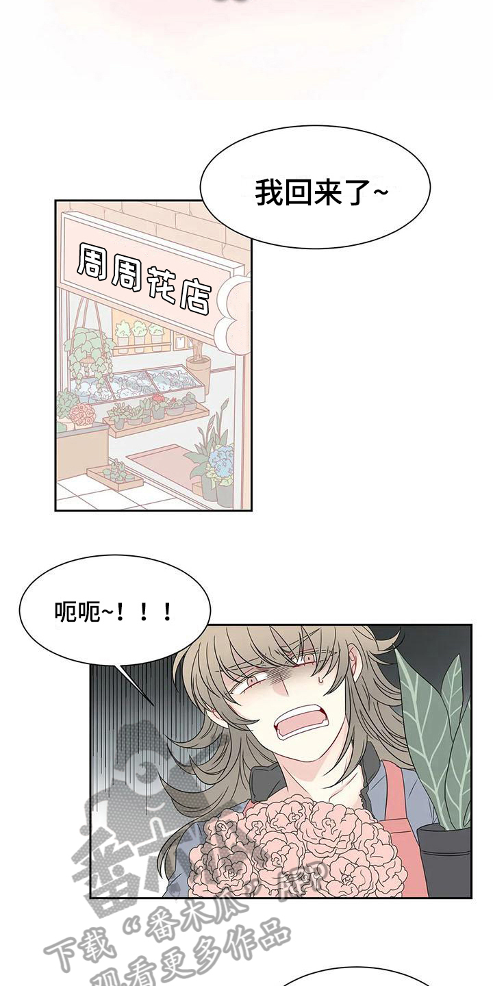 第14话：第14章：订花预览分镜