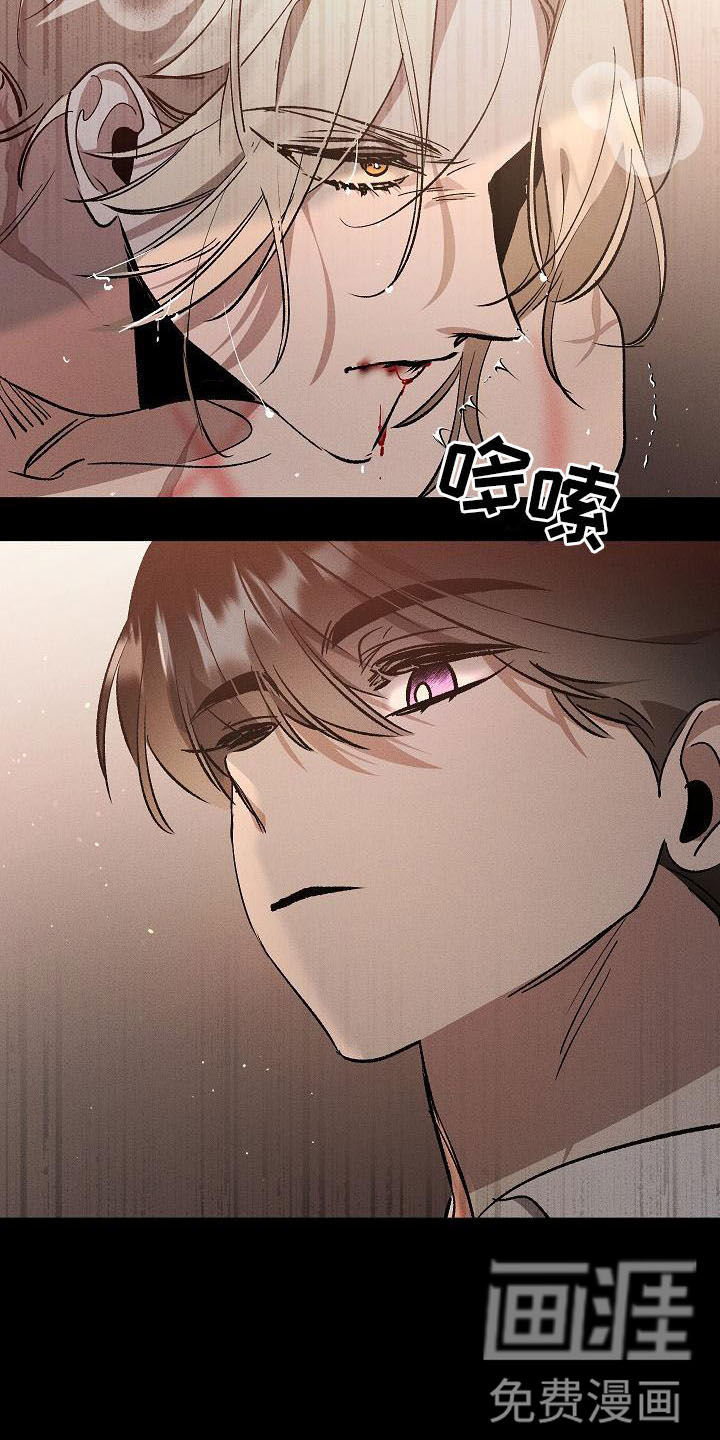 第6话：第6章：薰衣草花园：别走预览分镜