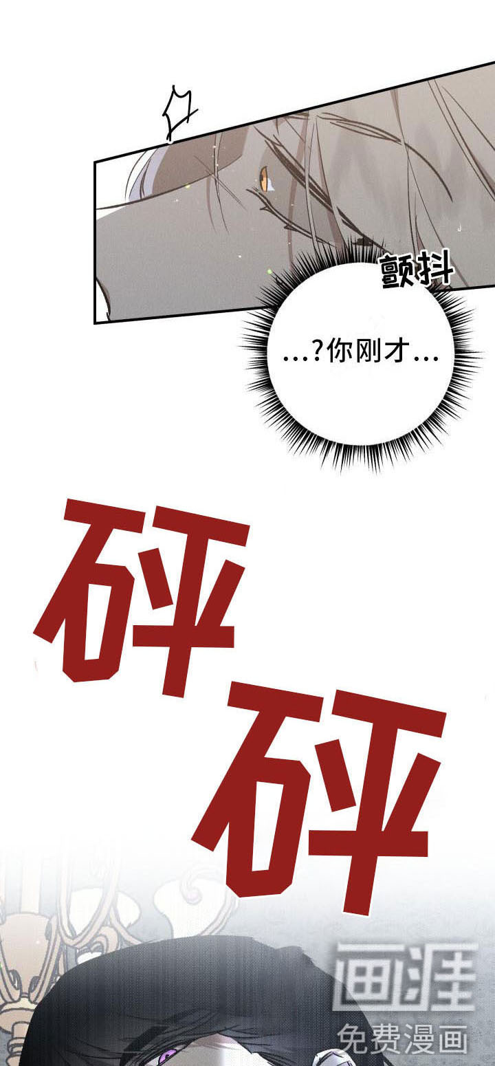第8话：第8章：薰衣草花园：惩罚预览分镜