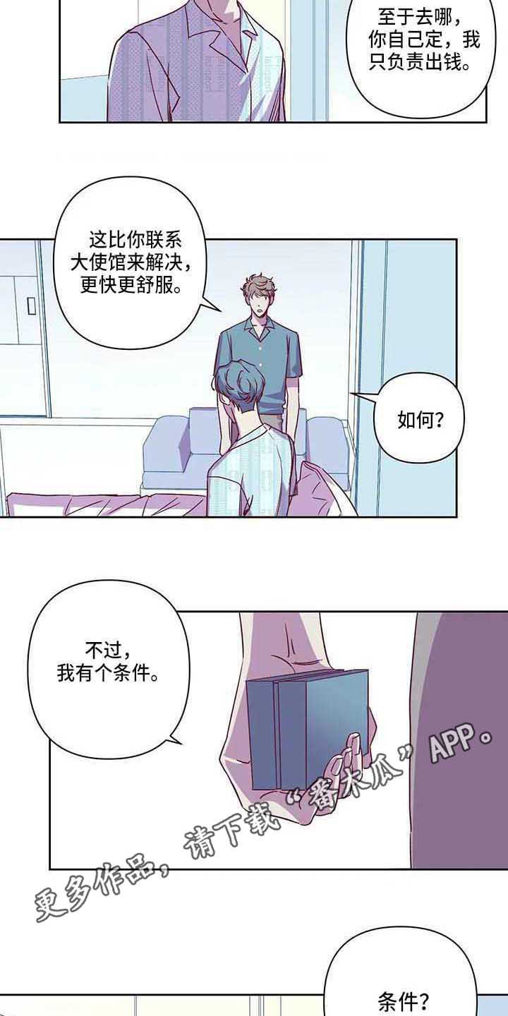第8话：第8章：条件预览分镜