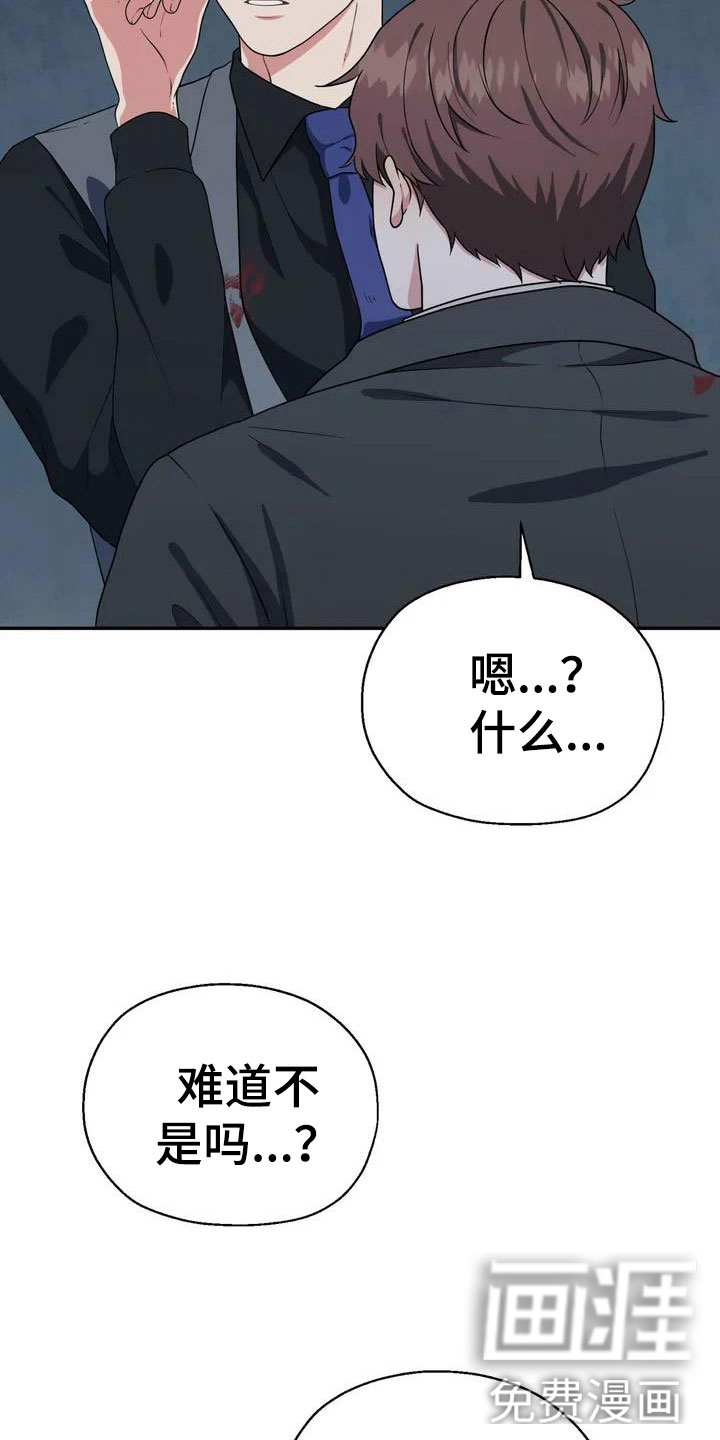 第5话：第5章：包庇预览分镜