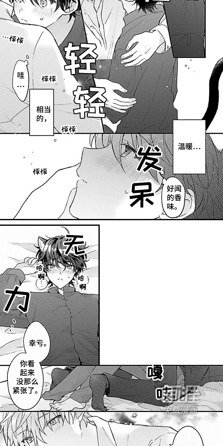 第5话：第5章：安定预览分镜