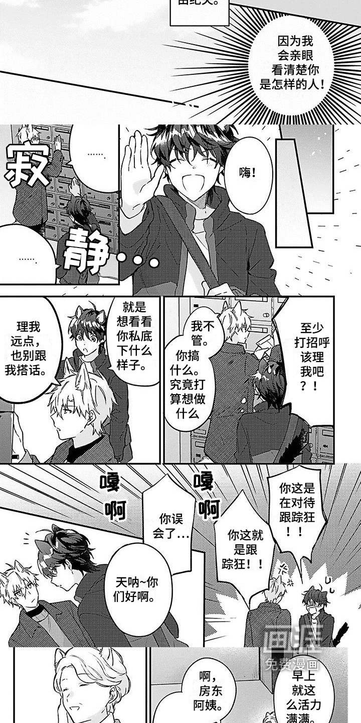 第9话：第9章：邻居预览分镜