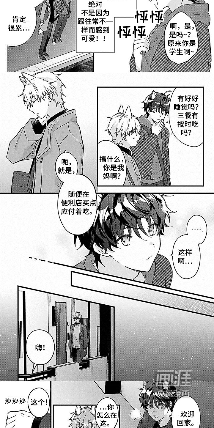 第10话：第10章：照顾预览分镜