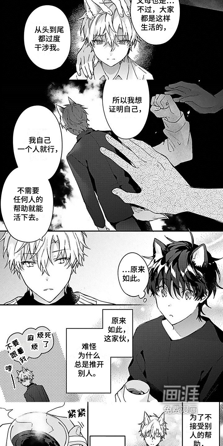 第11话：第11章：心动预览分镜