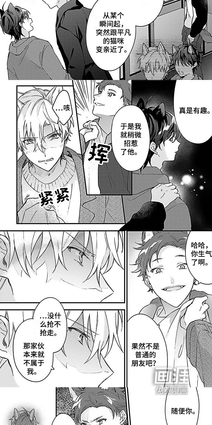 第17话：第17章：弱小预览分镜