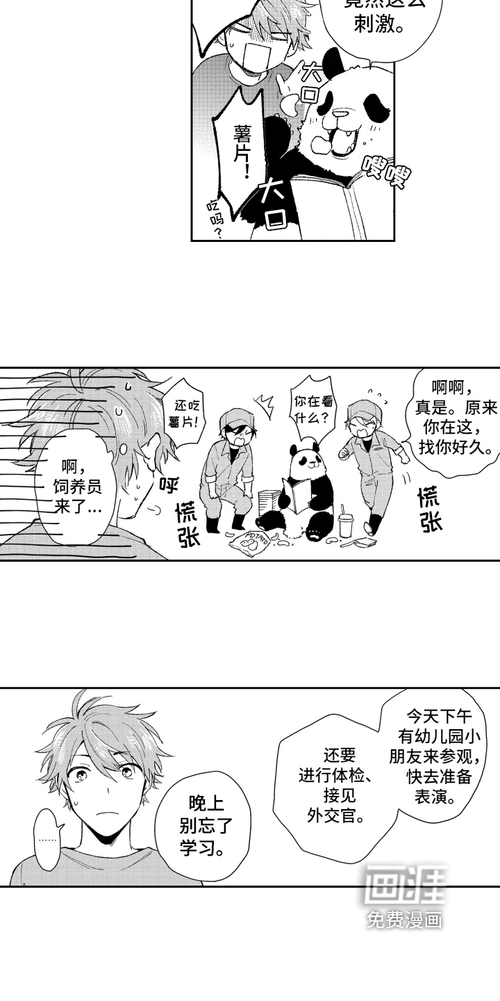 第17话：第17章：重要预览分镜
