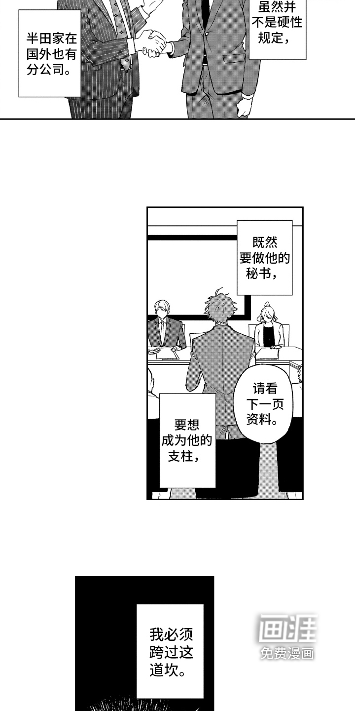 惊喜【完结】