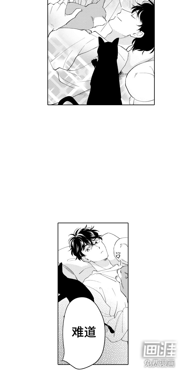第7话：第7章：如影随形预览分镜
