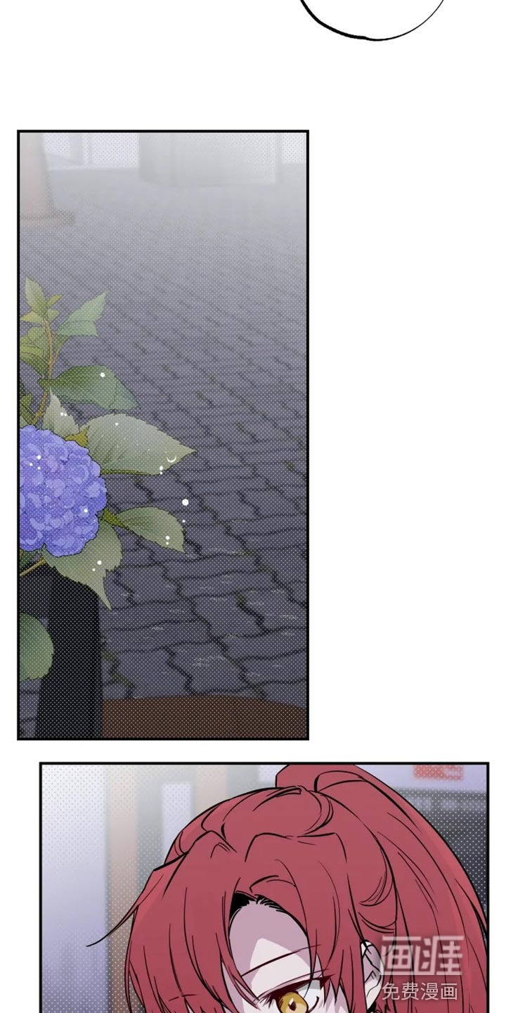 第15话：第15章：误会瞬间预览分镜