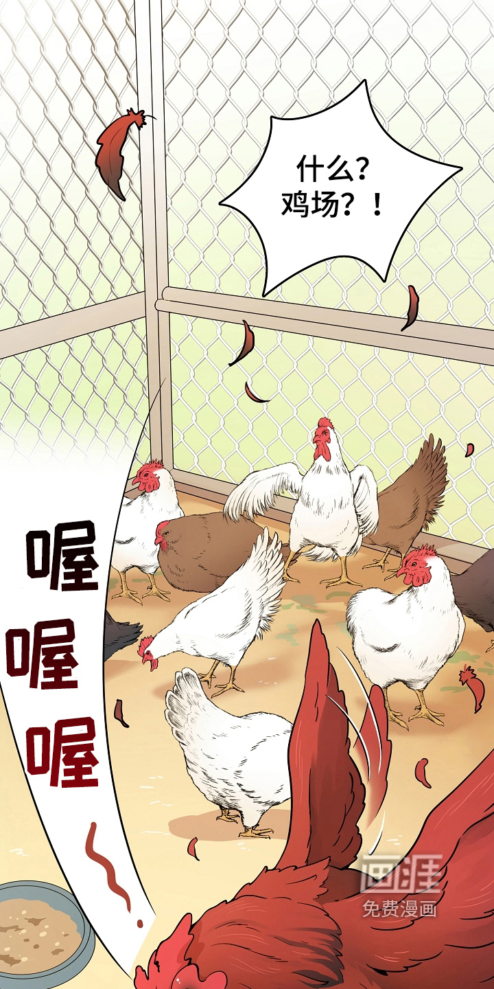 第7话：第7章：掏鸡蛋预览分镜