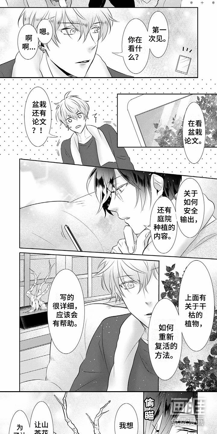 第11话：第11章：尝试预览分镜
